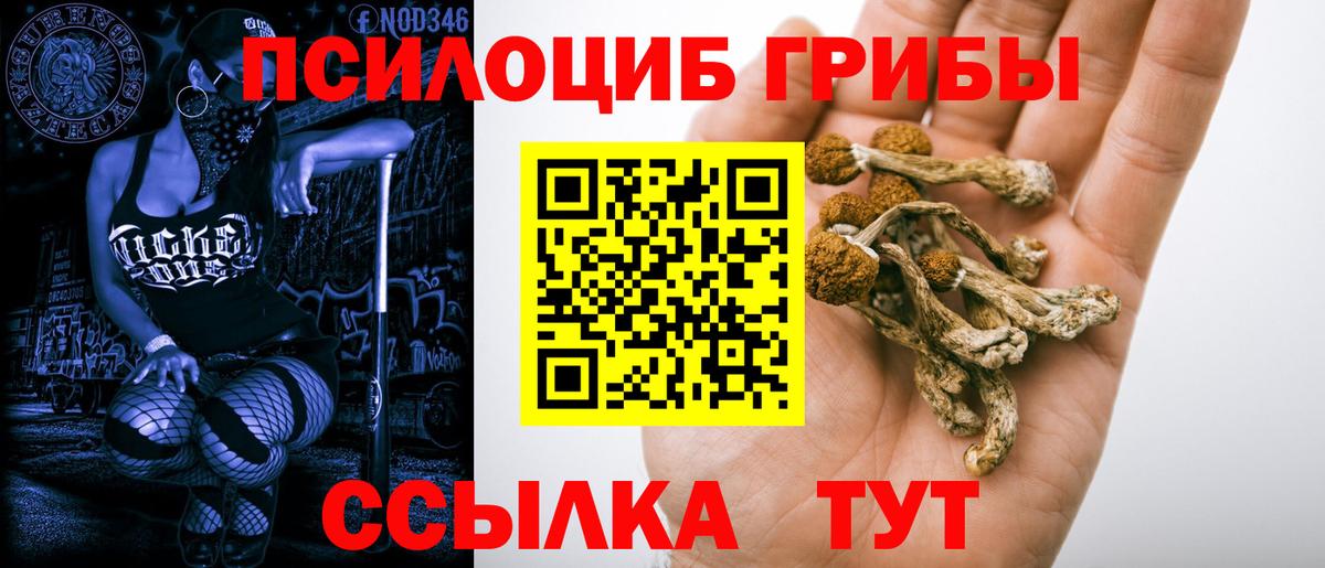Псилоцибиновые грибы мицелий  цена   Псилоцибиновые грибы мицелий  Каменка  Вход с VPN 